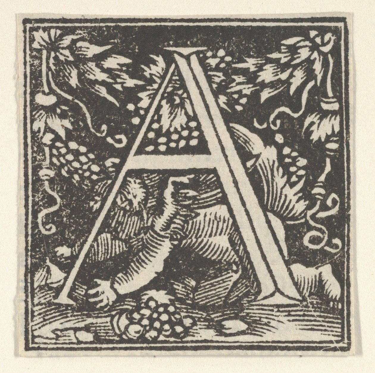 Letra inicial A con putto de Heinrich Vogtherr