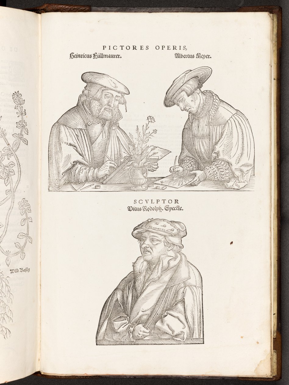BT3.267.5 opp p896 Artistas y grabador, ilustración de De historia stirpium commentarii insignes por Leonhart Fuchs, 1542 de Heinrich and Meyer, Albert Fullmaurer