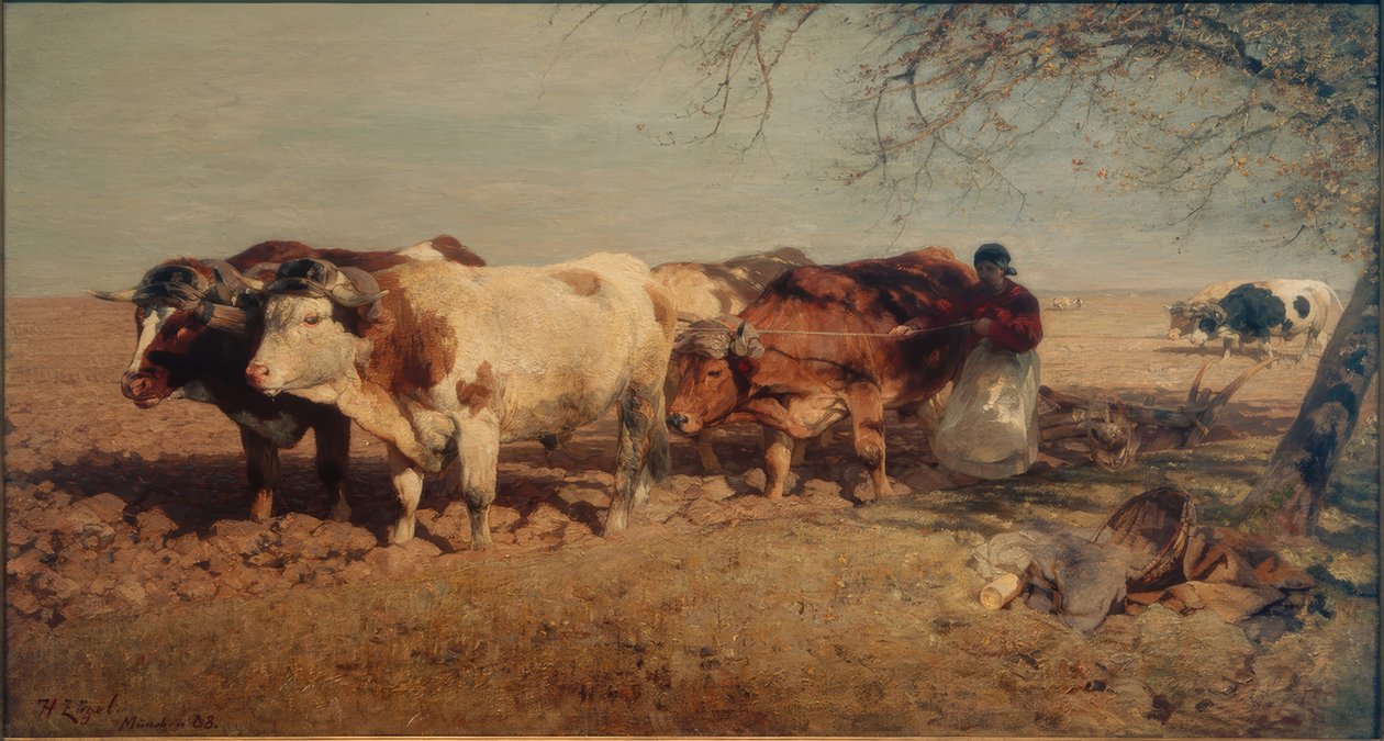 Yunta de bueyes de Heinrich von Zügel