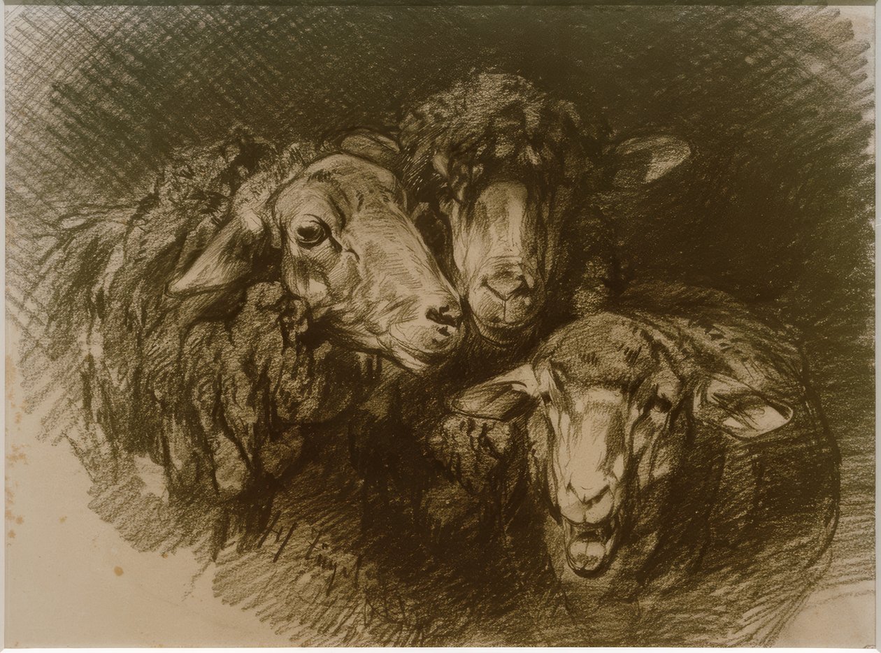 Ovejas de Heinrich von Zügel