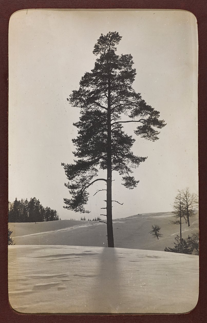 Primera Guerra Mundial: Ucrania en los años 1914-1916 durante la invasión del ejército alemán. Paisaje con nieve de Heldenfriedhof Dsessentniki (attr. to)