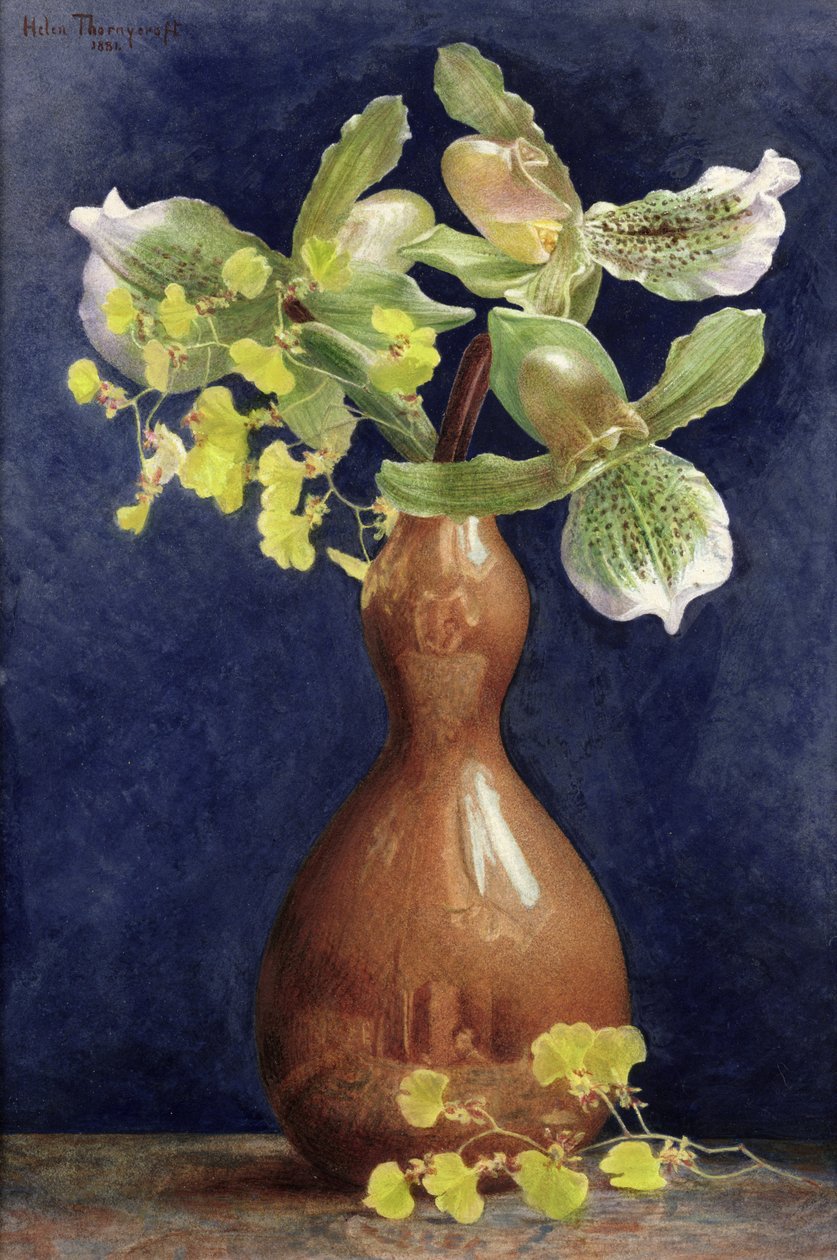 Orquídeas en un jarrón de cobre, 1881 de Helen Thornycroft