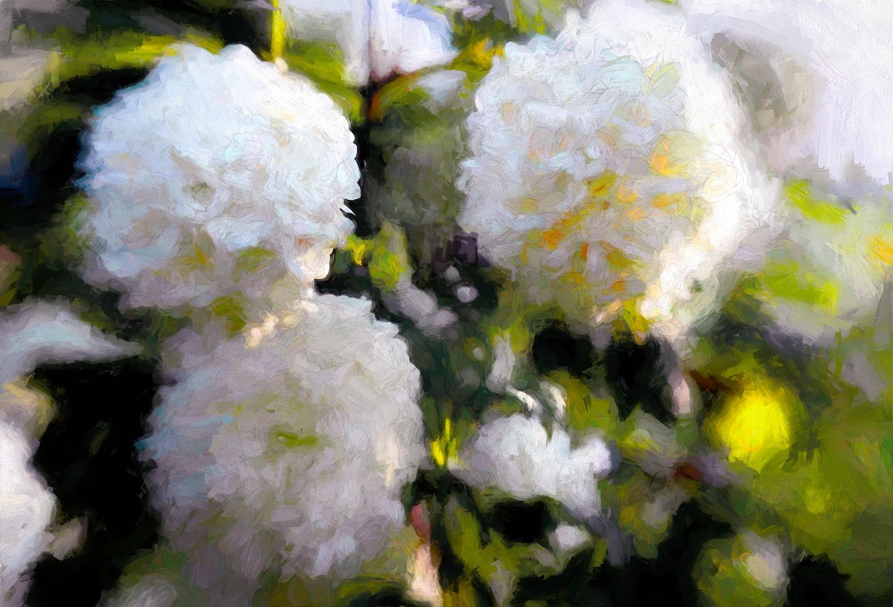 Grandes flores exuberantes, 2018 de Helen White