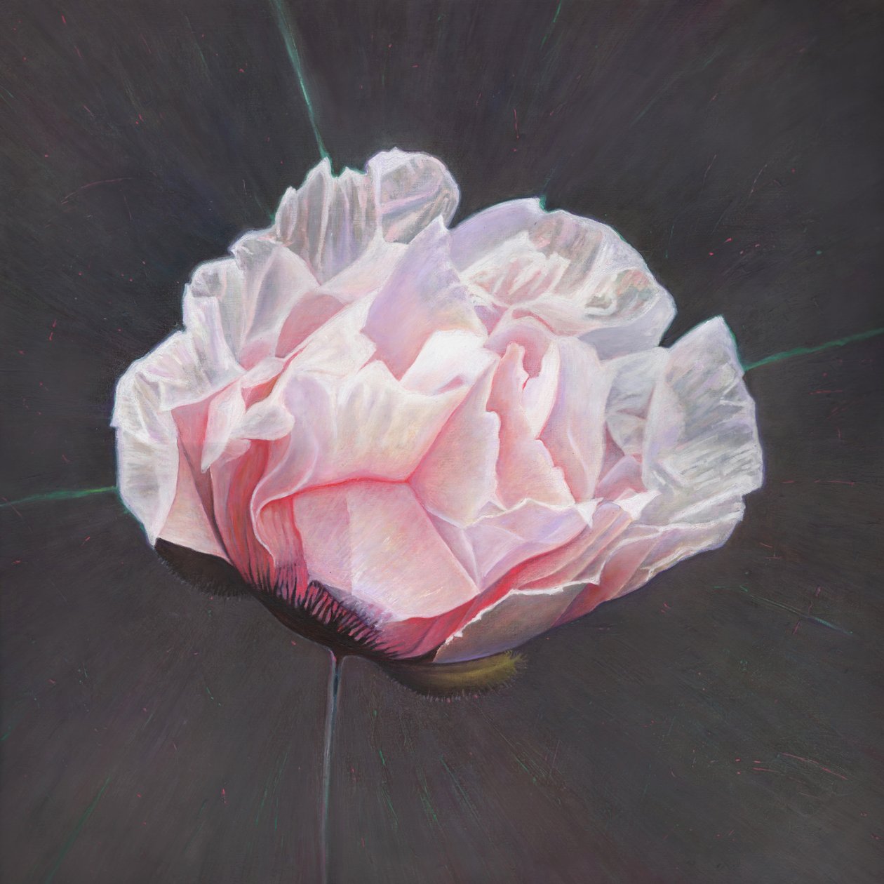 Emergencia, 2015 de Helen White
