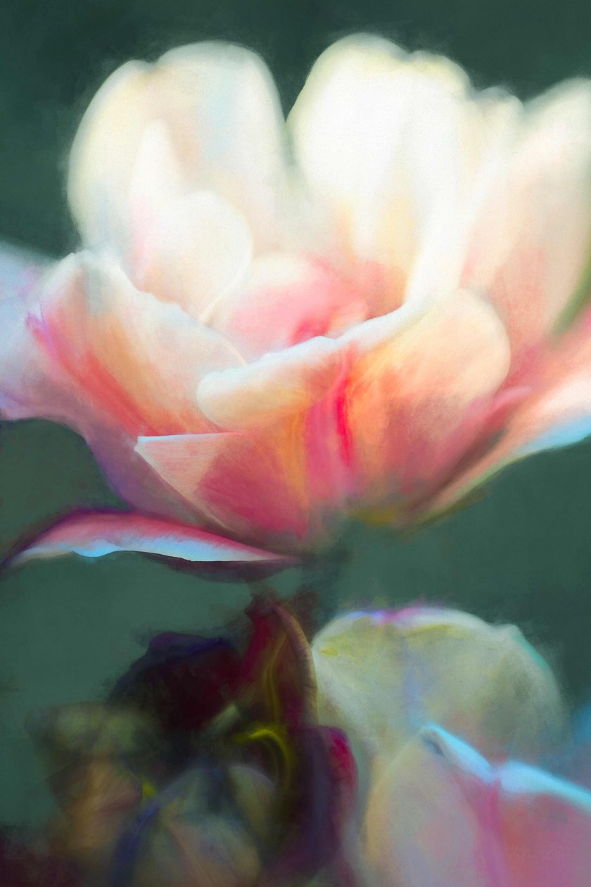 Emergencia II, 2018 de Helen White