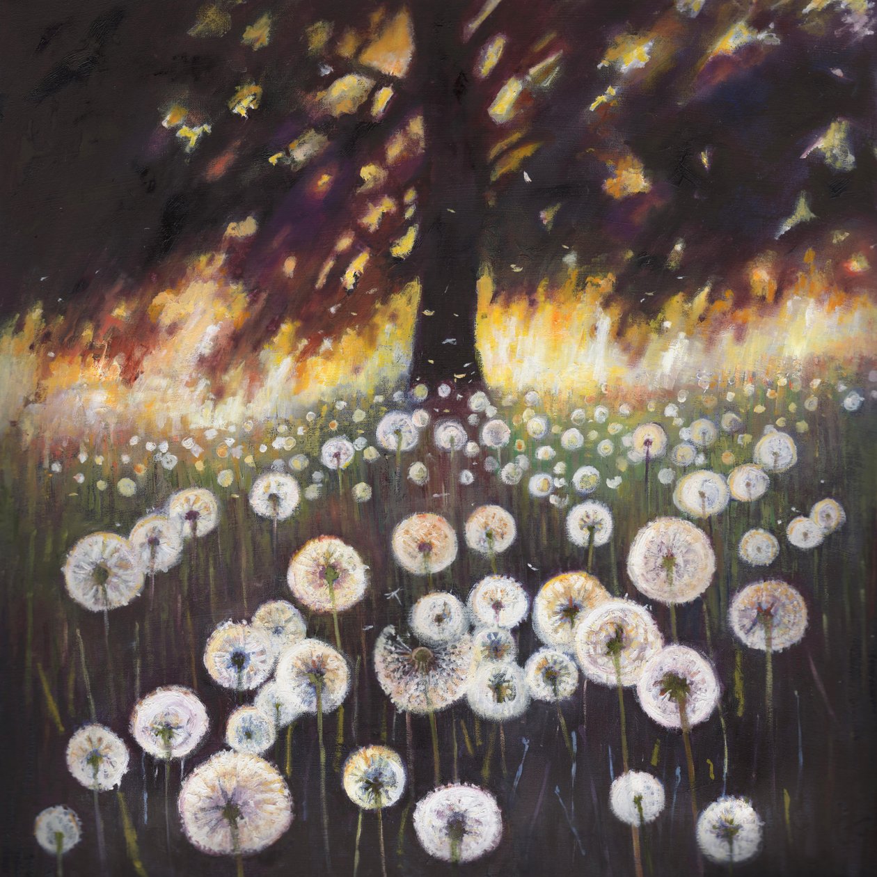 Campo de sueños, 2015 de Helen White