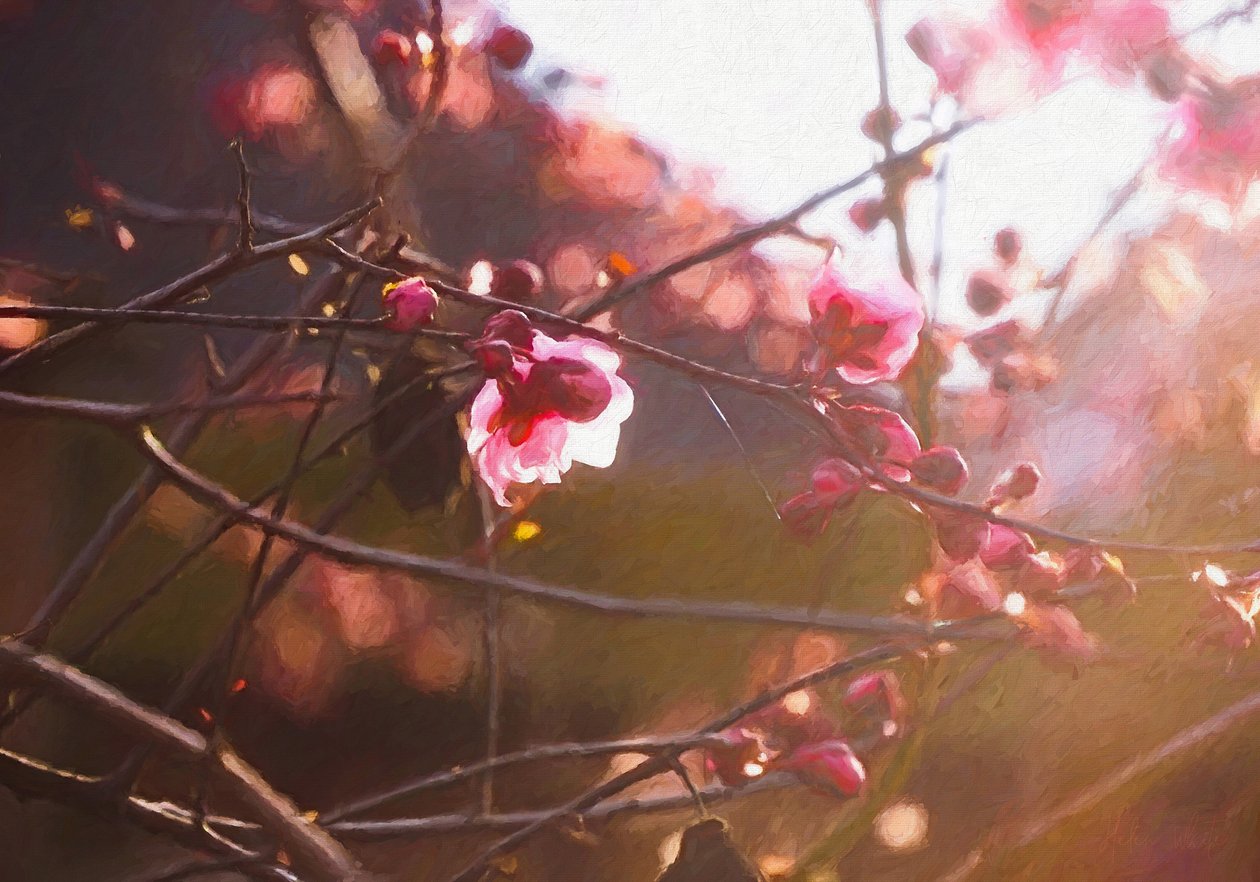 Primera luz de primavera, 2018 de Helen White