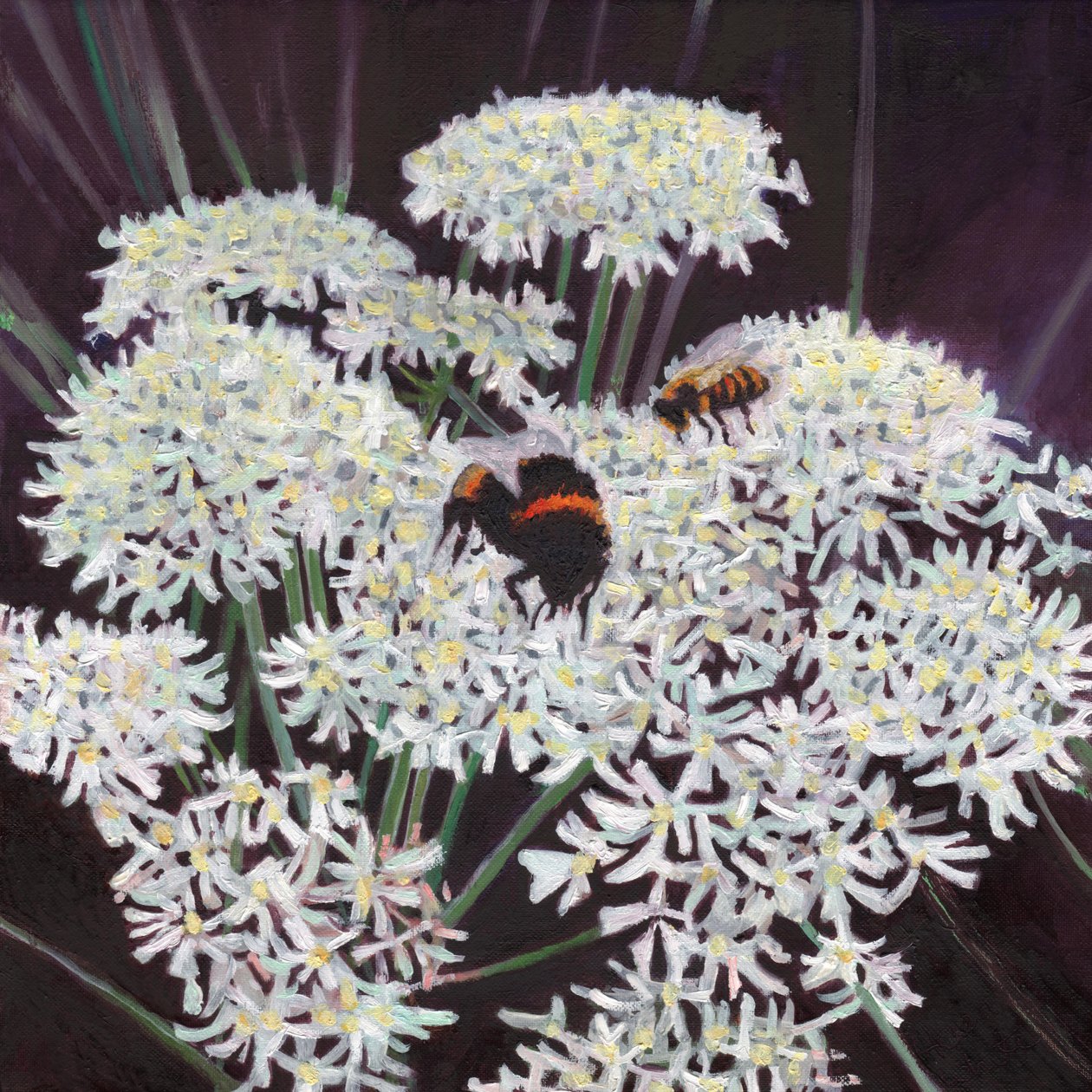 Inflorescencia, 2015 de Helen White