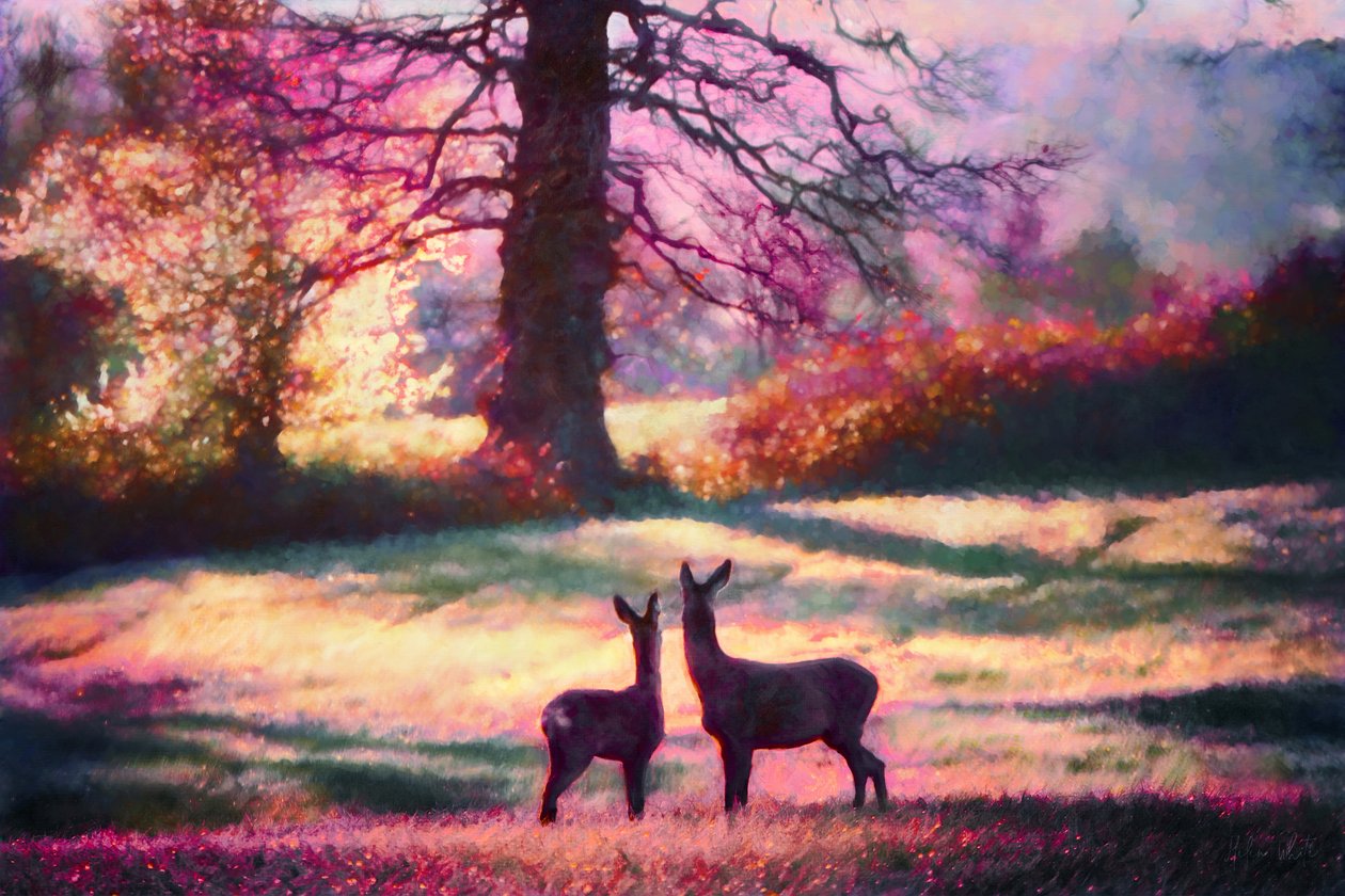 Mirando atrás, 2018 de Helen White