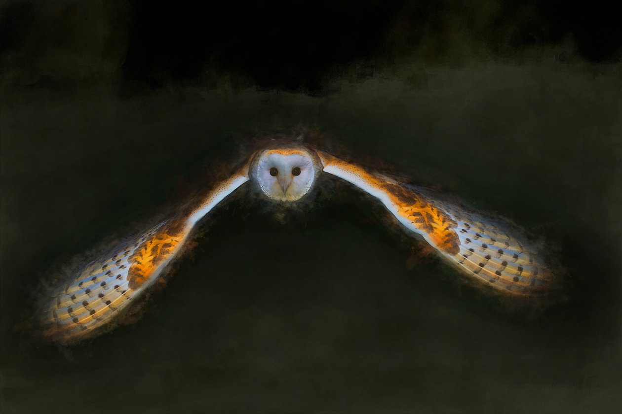 Vuelo nocturno, 2018 de Helen White