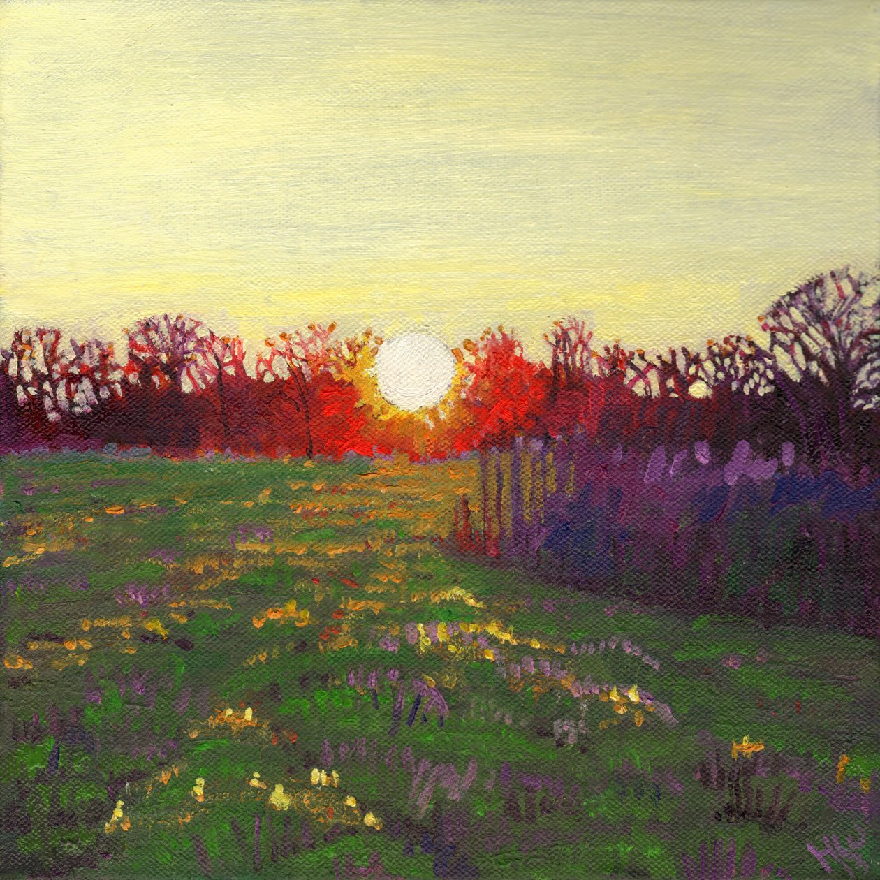 Camino de luz, 2013 de Helen White