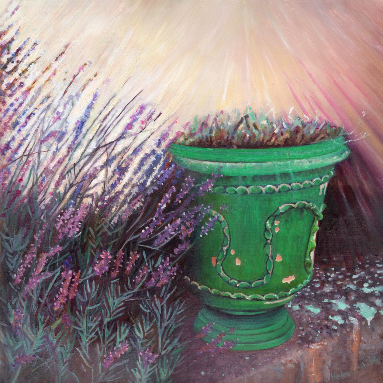 Jardín provenzal II, 2014 de Helen White