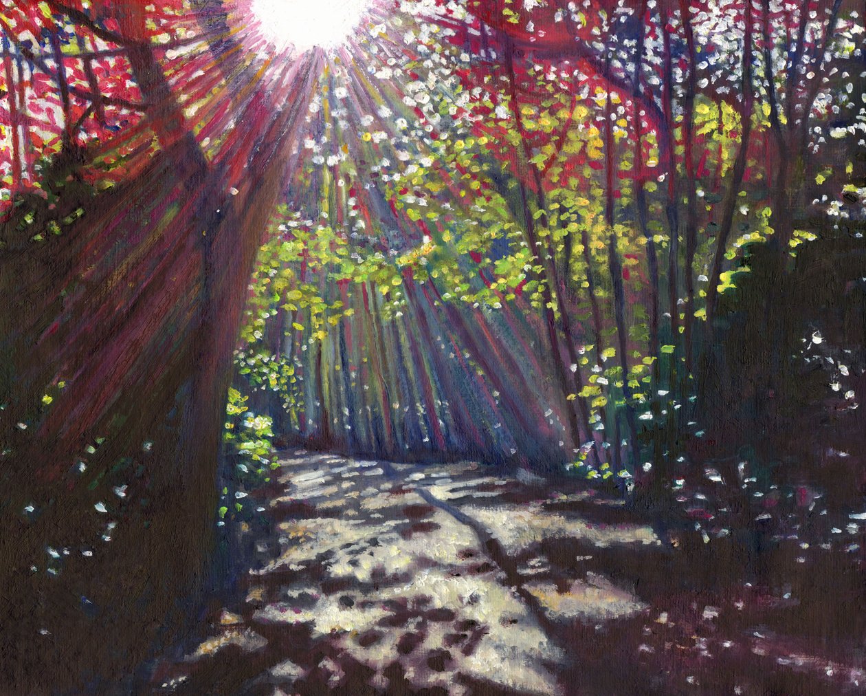 Luz dispersa, 2013 de Helen White