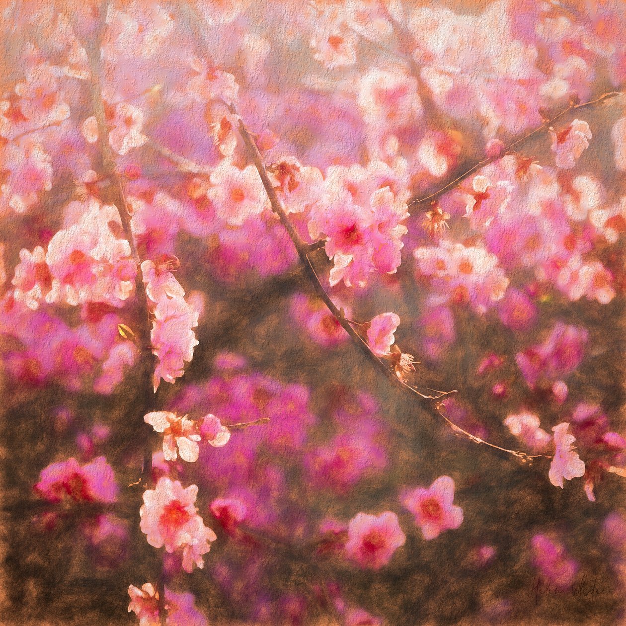 Primavera Brotada de Helen White