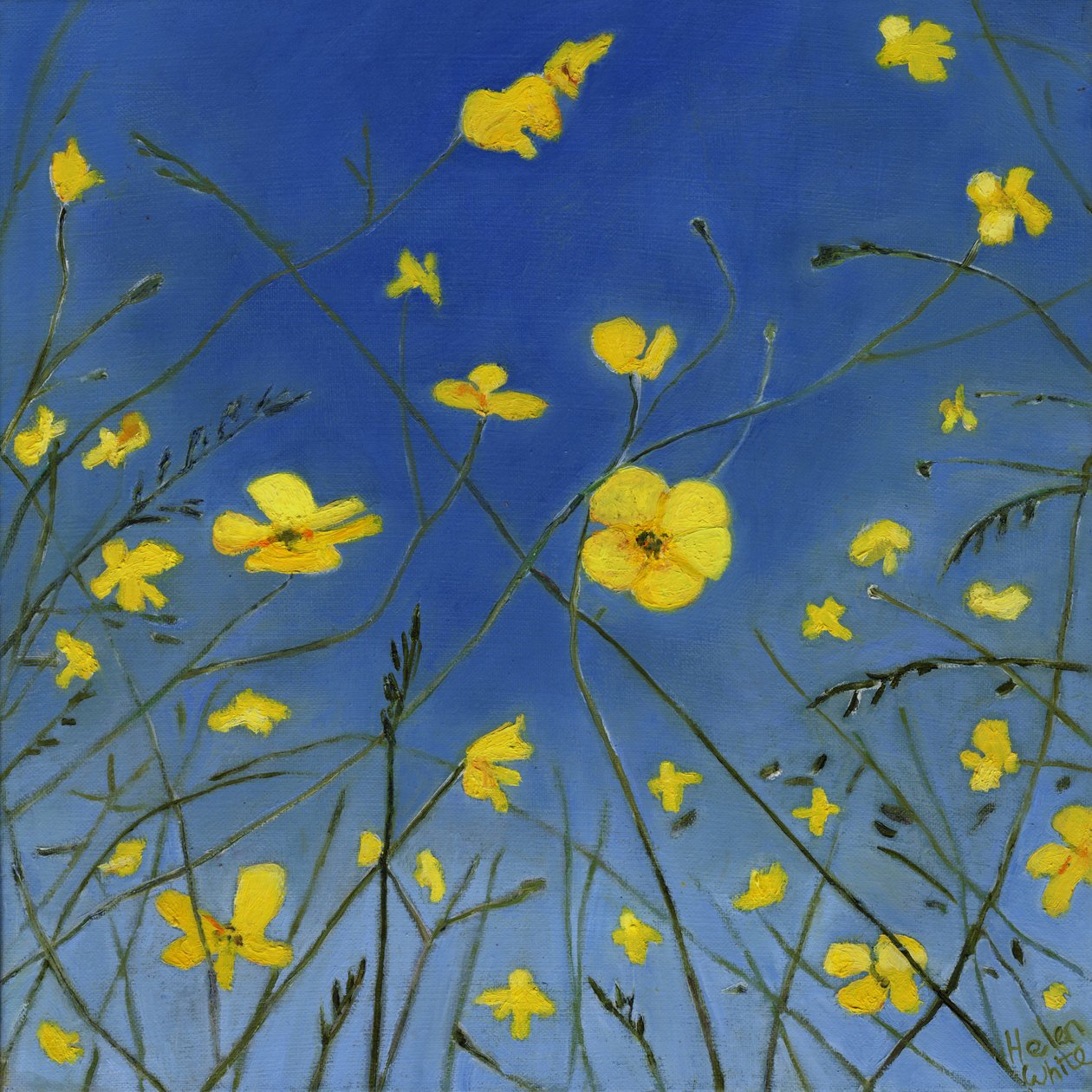 Días de verano y formas perezosas, 2015 de Helen White