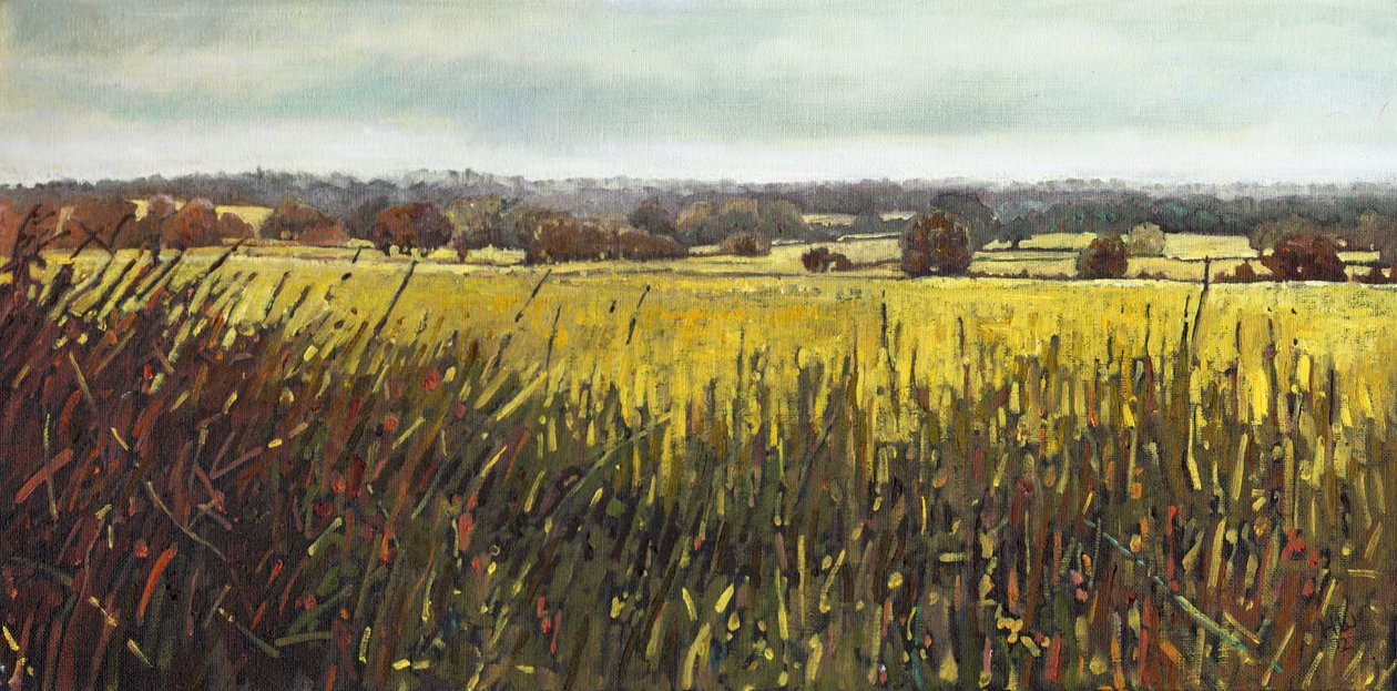 Hacia Riseley, 2012 de Helen White