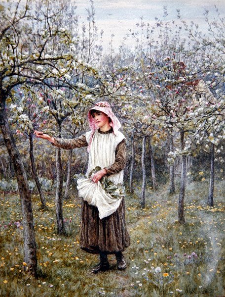 Tiempo de floración de Helen Allingham