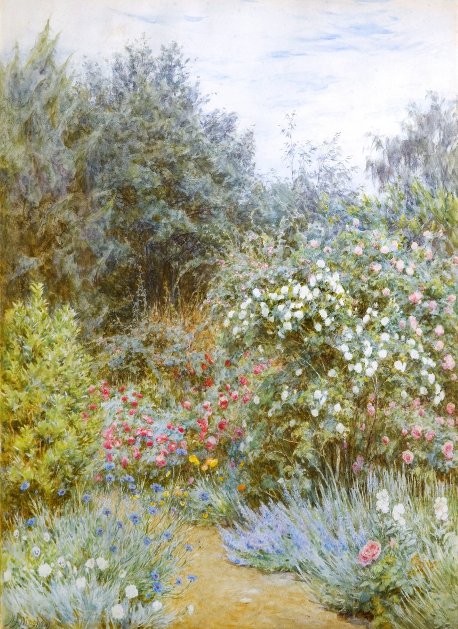 Rosas en el jardín de Gertrude Jekyll, Munstead Wood, Surrey (acuarela) de Helen Allingham