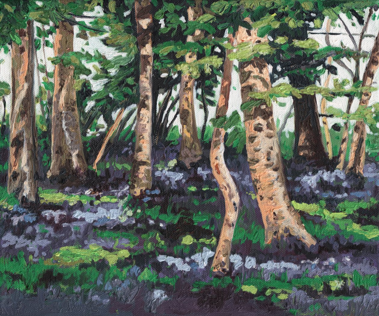 Bosque de campanillas, 2009 de Helen White