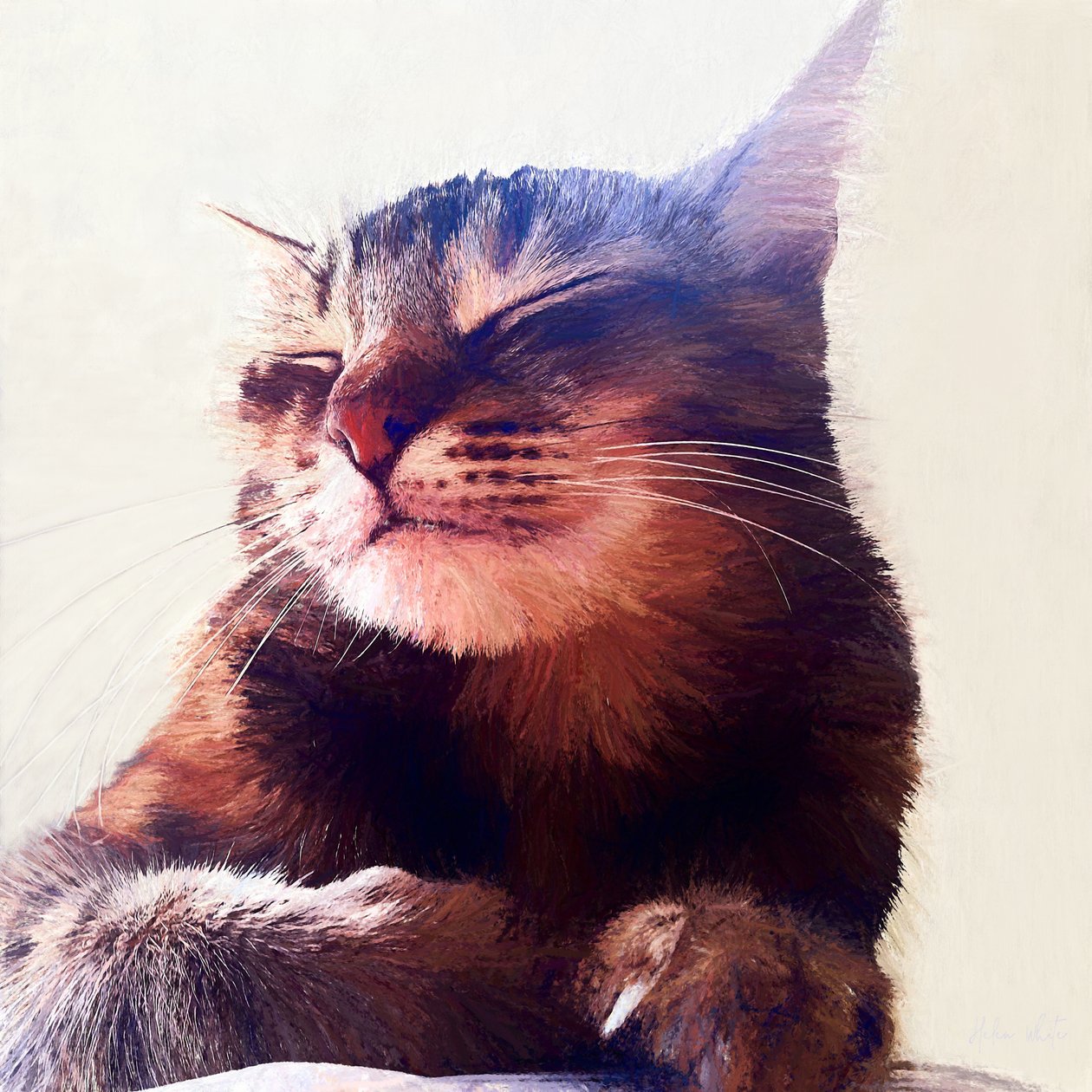 El gato que se llevó la crema, 2018 de Helen White