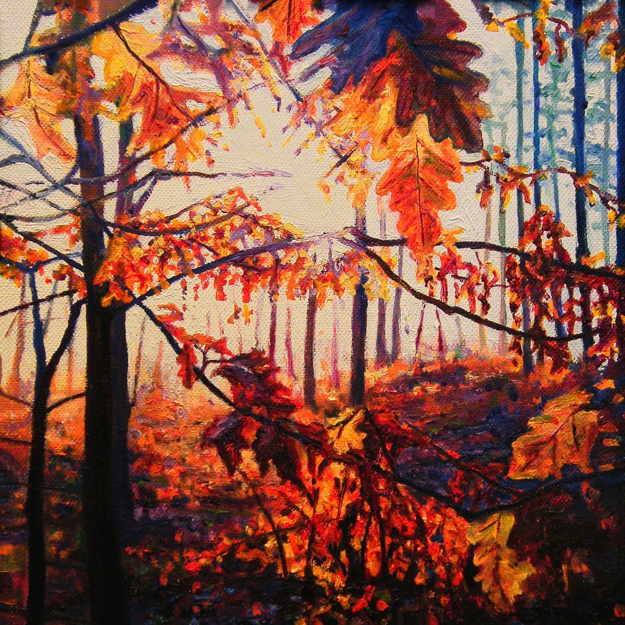 Copper Woods, 2009 (óleo sobre lienzo) de Helen White