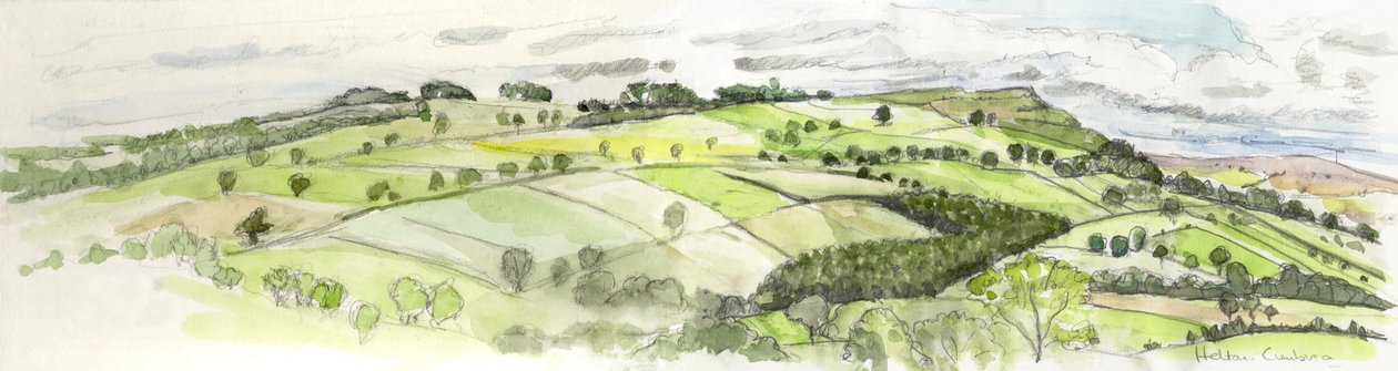 Panorama de Helton, 2010 de Helen White