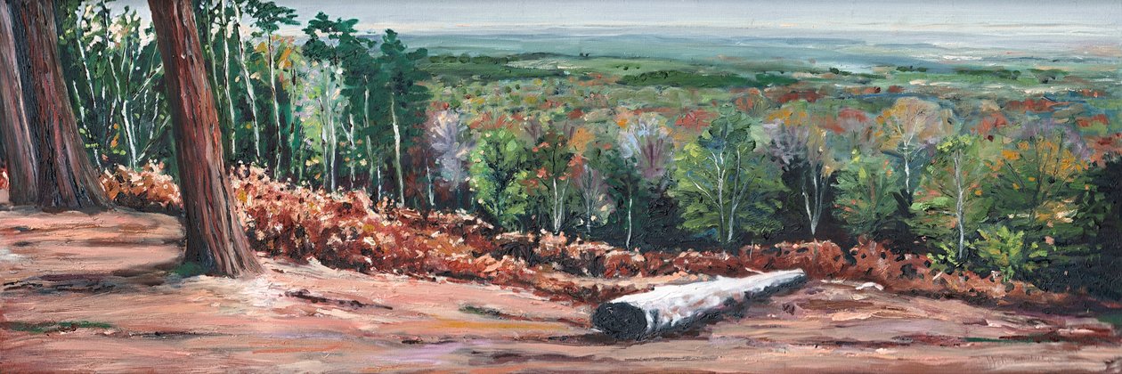 High Ridge, 2009 de Helen White