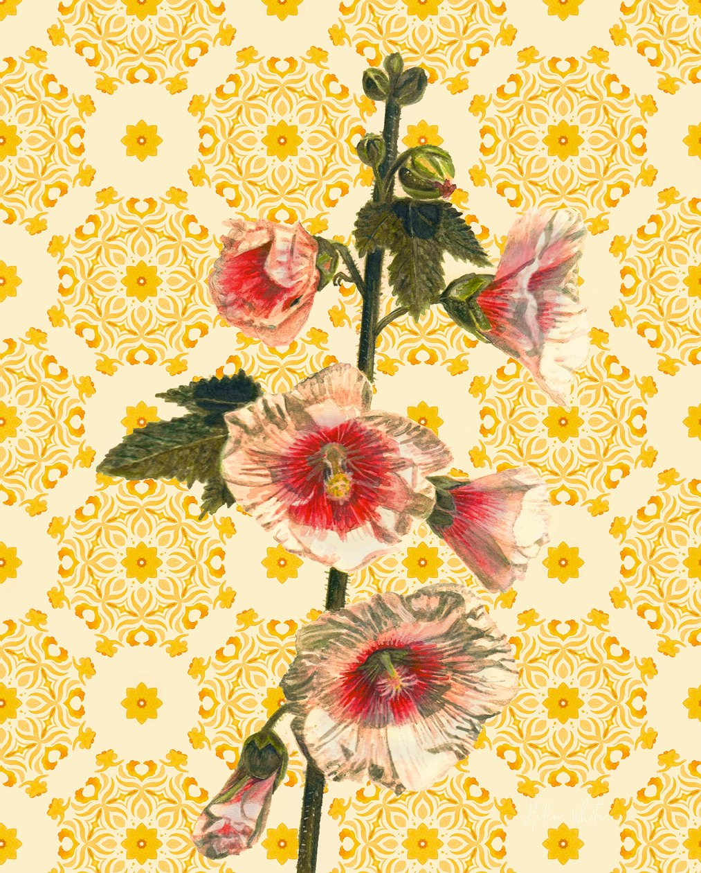 Malvarrosas al sol de Helen White