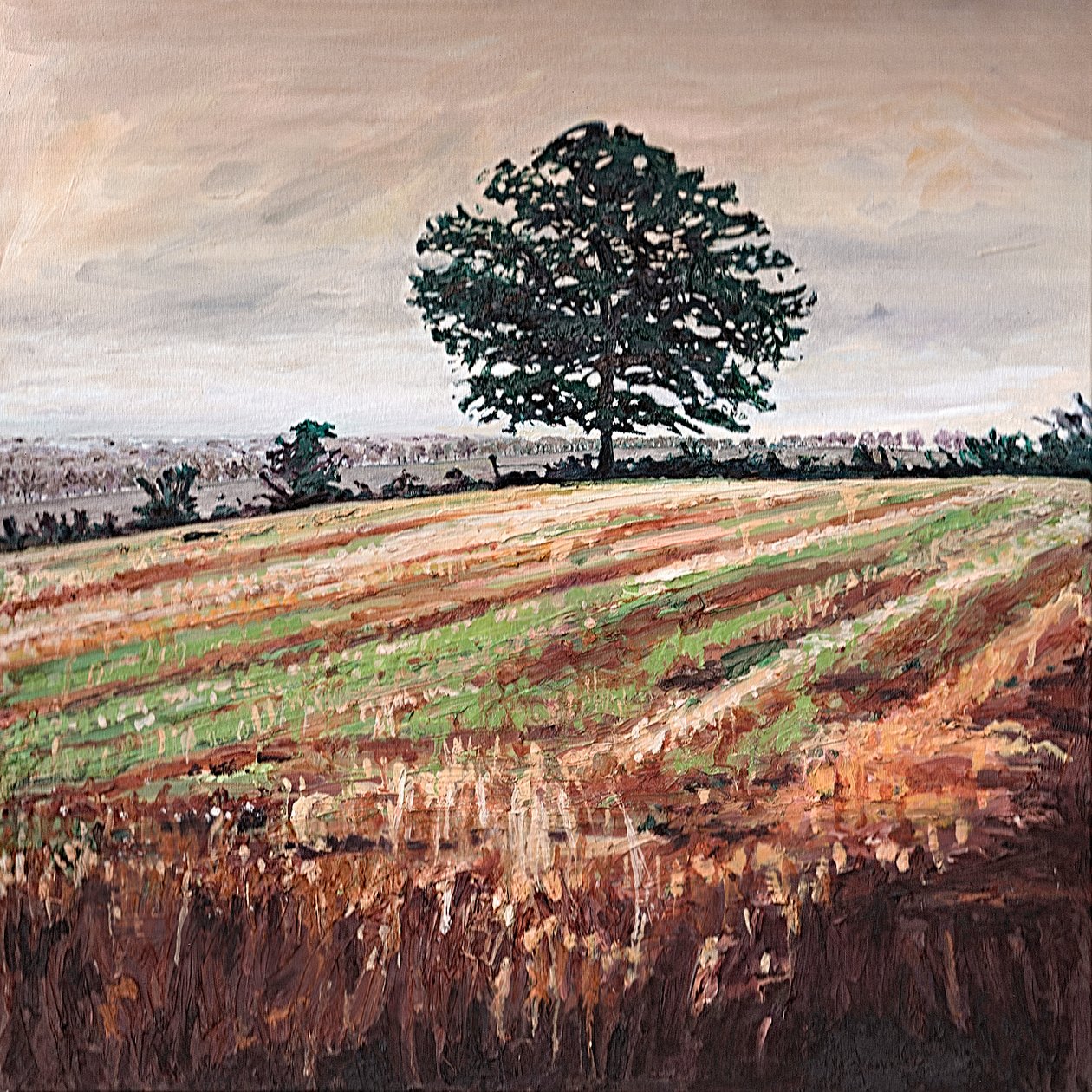 Campo de la tarde, 2009 de Helen White