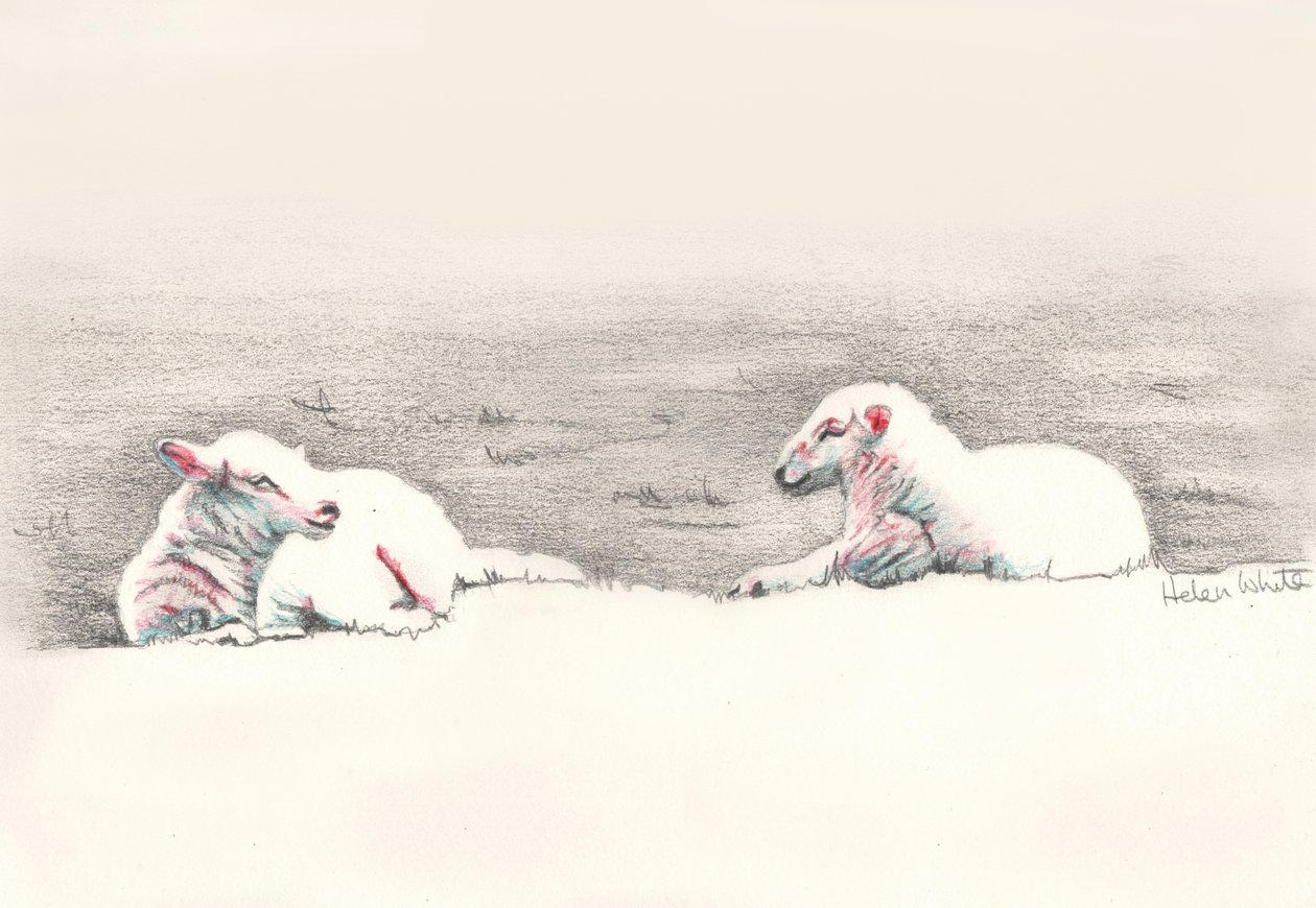 Durmiendo, 2016 de Helen White