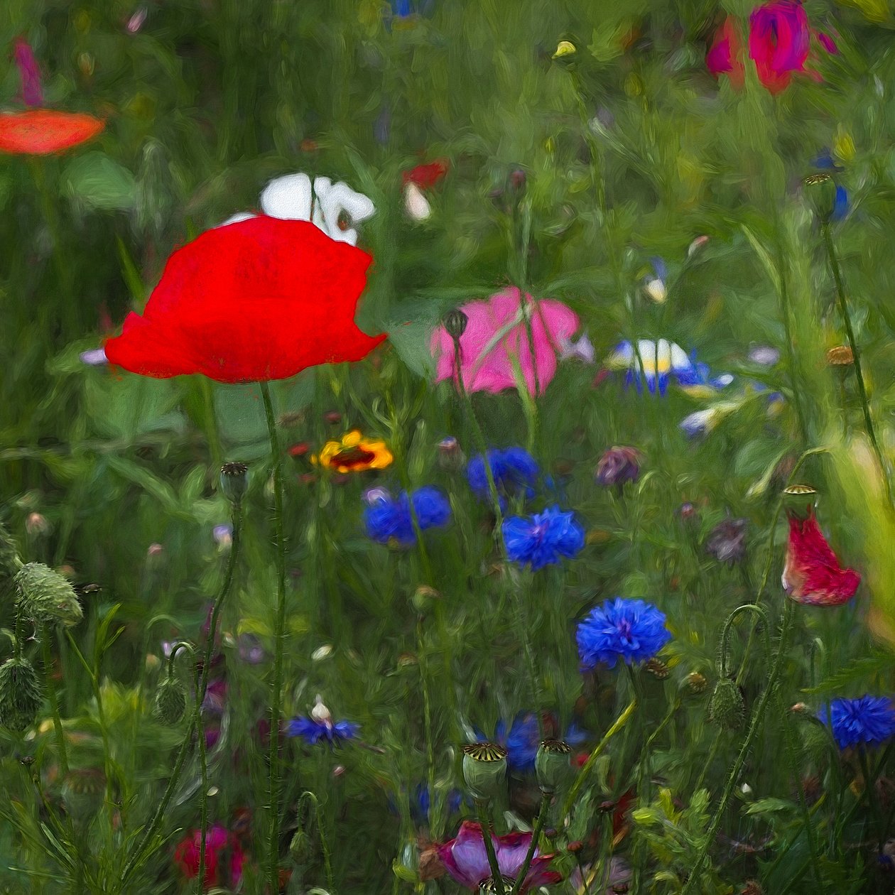 Caja de colores de la naturaleza, 2019 de Helen White