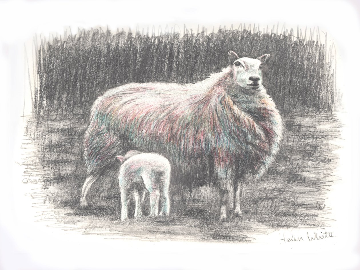 Orgulloso, 2016 de Helen White