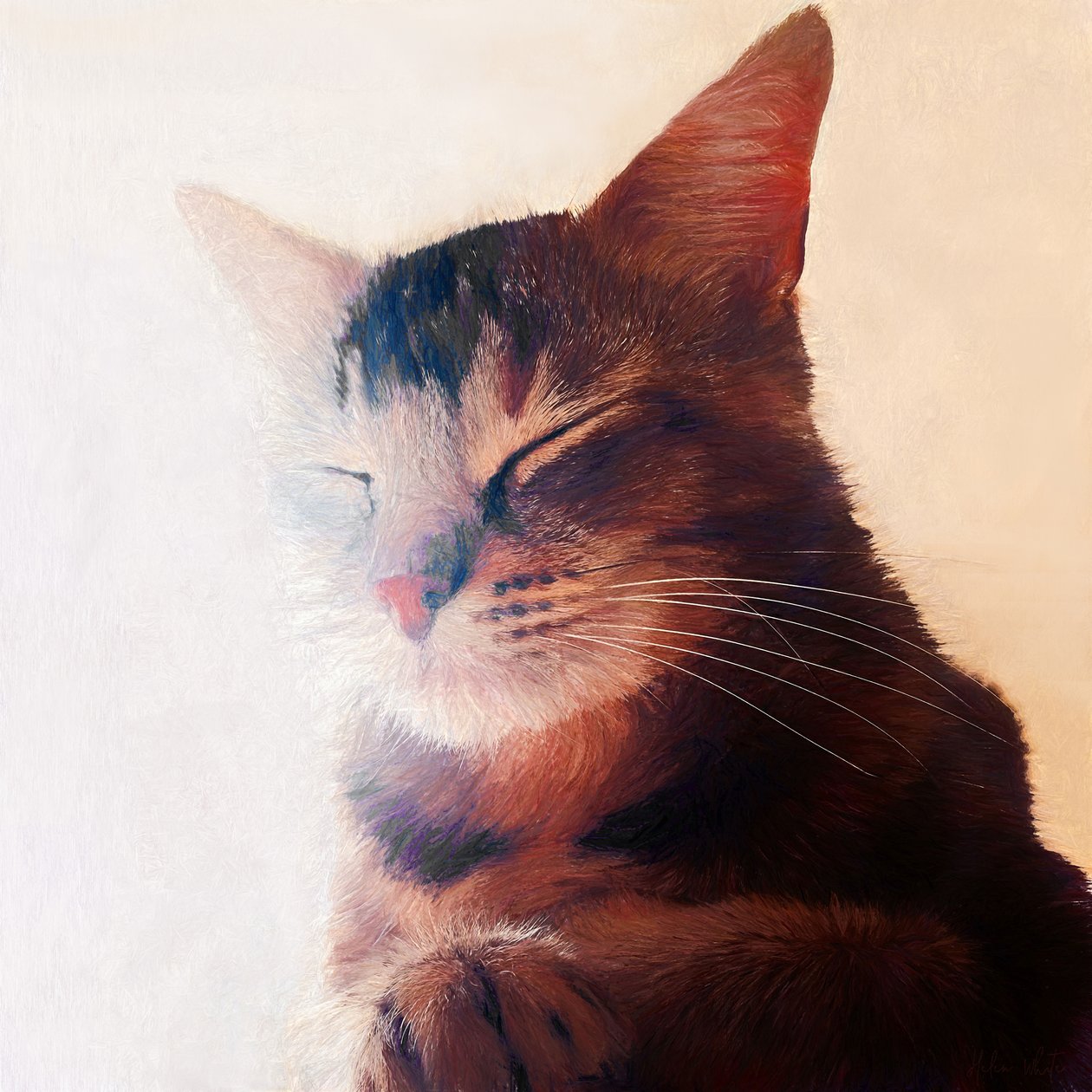 Punto Perfecto, 2018 de Helen White