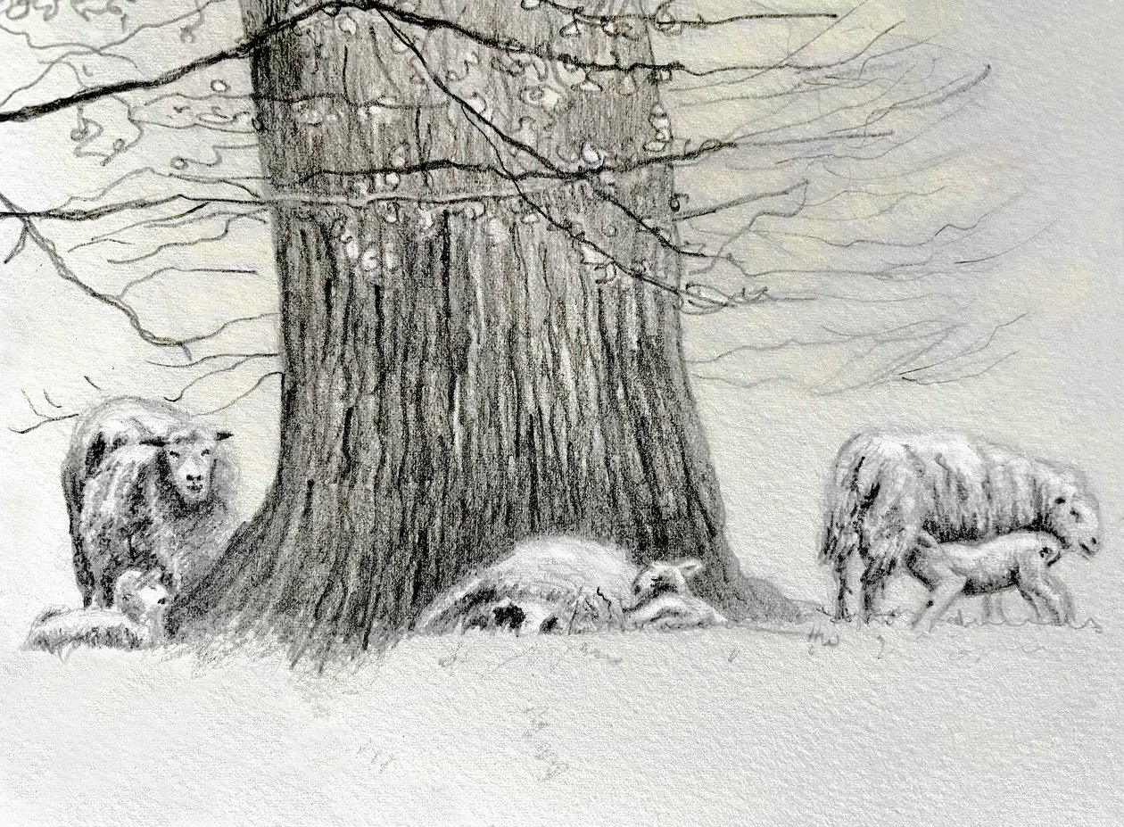 Shady Tree, 2022 de Helen White
