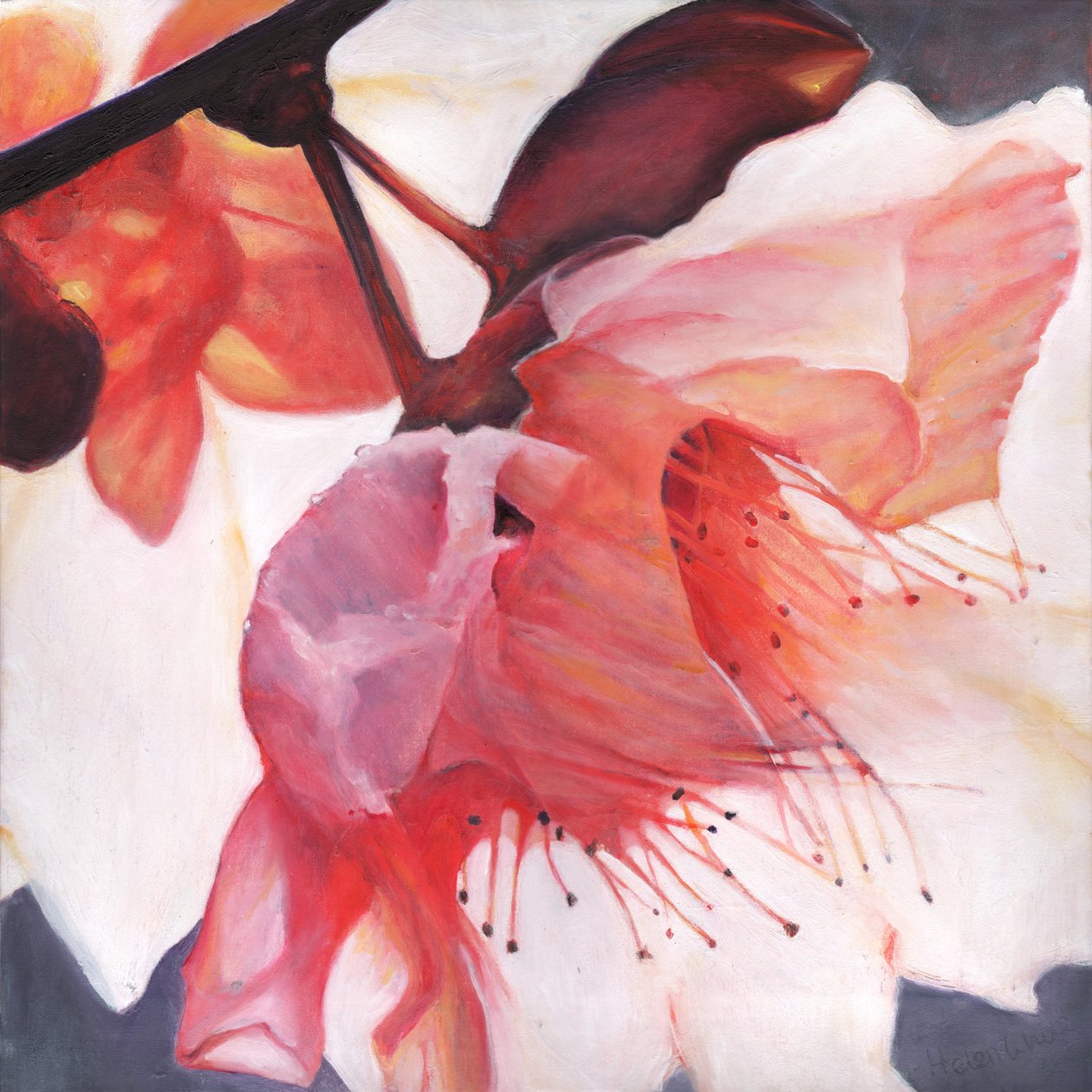 Danza Shakti, 2016 de Helen White