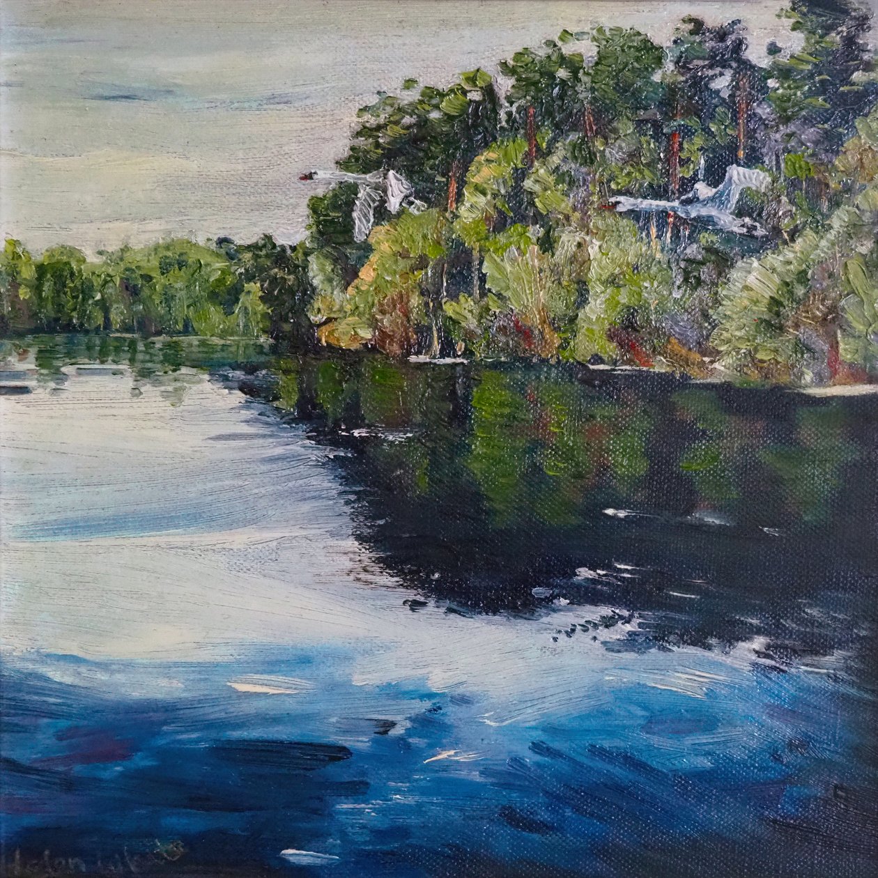 Vuelo del cisne, 2008 de Helen White