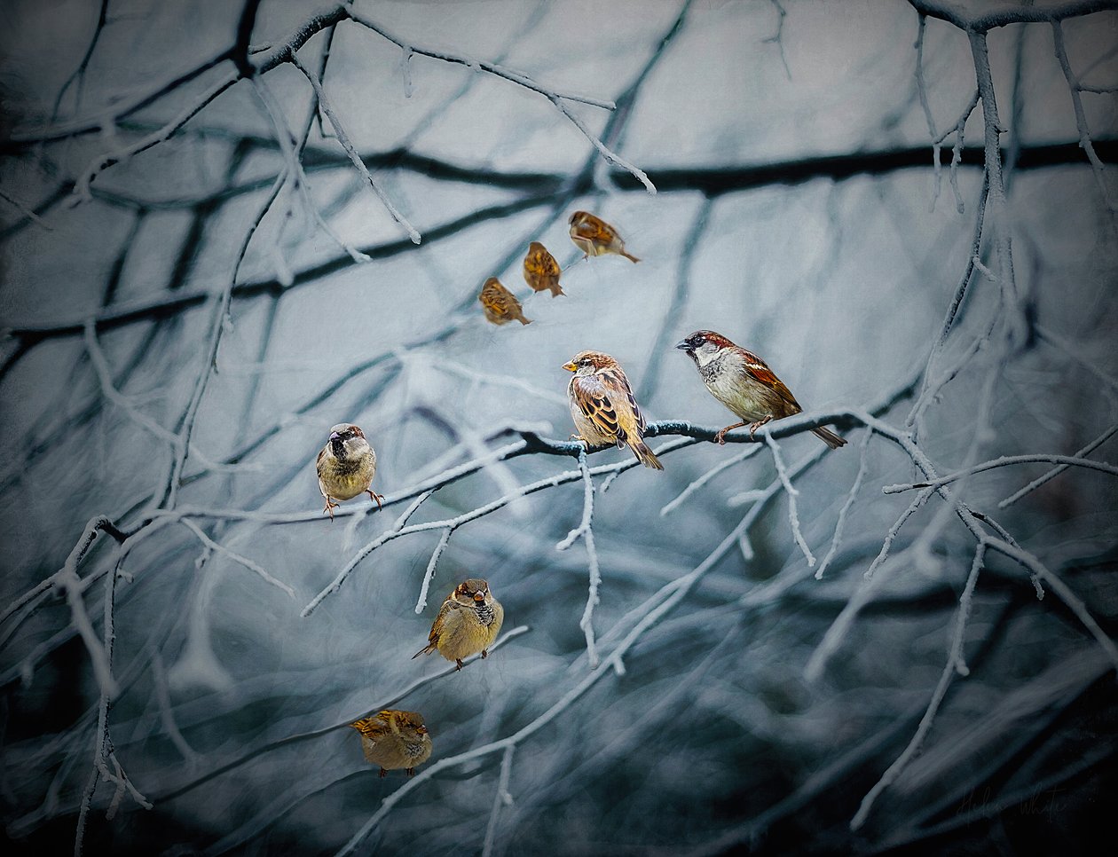 Lleno de vida, 2019 de Helen White