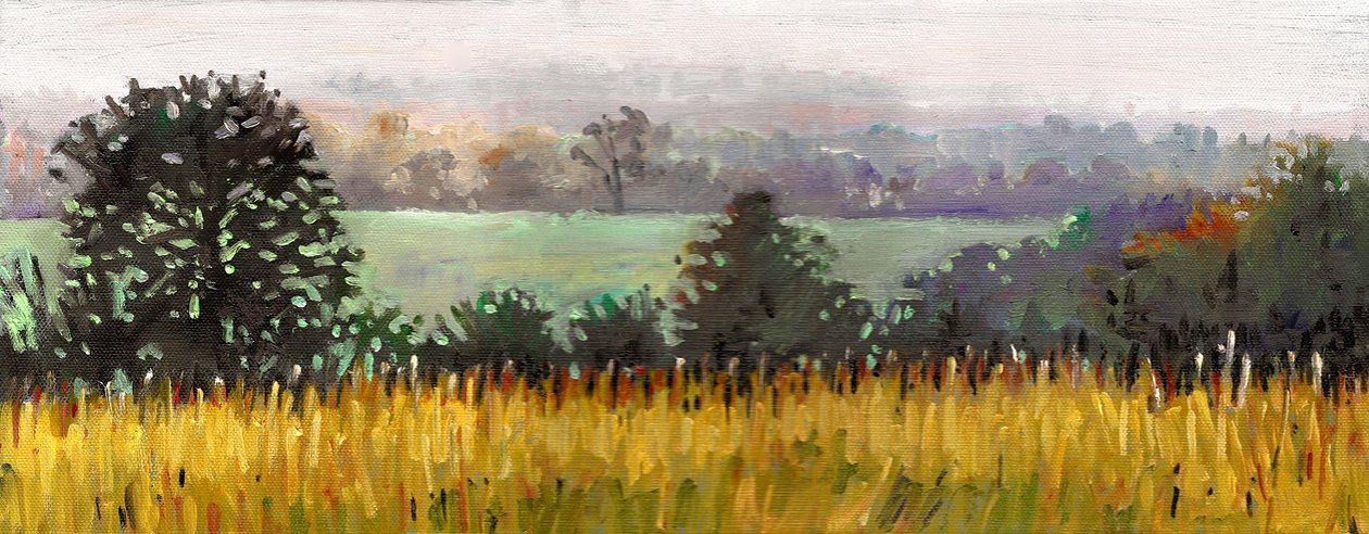 Hacia Grazeley, 2012 (óleo sobre lienzo) de Helen White