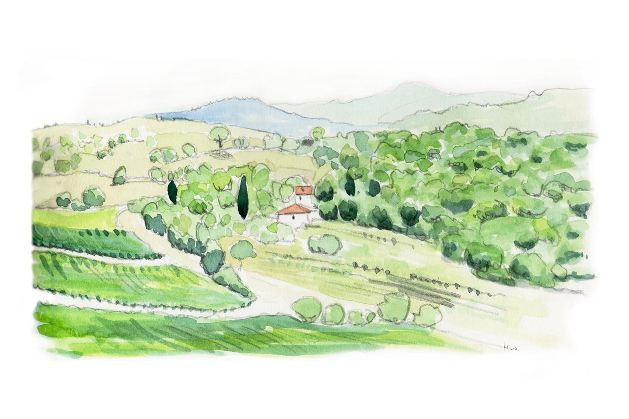 Colina toscana, 2014 (lápiz y acuarela) de Helen White
