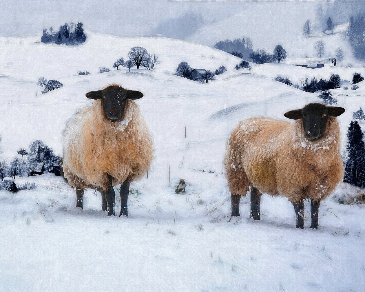 Abrigos de invierno, 2019 de Helen White