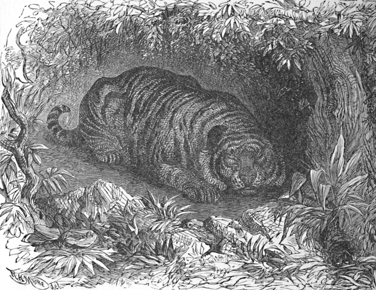Una siesta después de la cena, c. 1900 de Helena J. Maguire