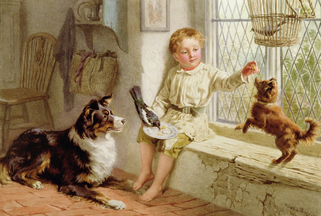Amigos de Helena J. Maguire