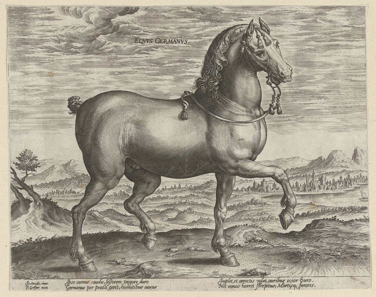 Semental de Alemania Eqvvs Germanvs (título sobre el objeto) Razas de caballos de las Caballerizas Reales de Don Juan de Austria (título de la serie) Equile Ioannis Austriaci Caroli (título de la serie) de Hendrick Goltzius (possibly)