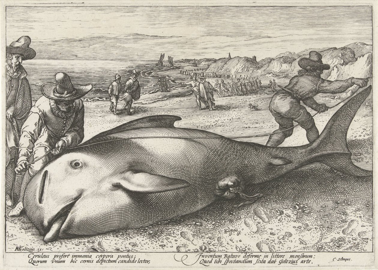 Amigo varado en la playa cerca de Zandvoort, 1594 de Hendrick Goltzius (workshop of)