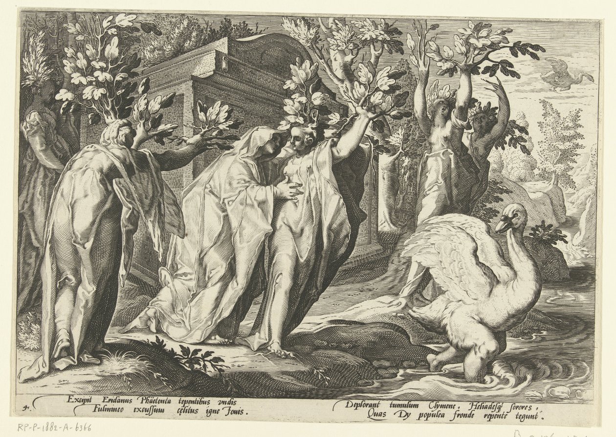 Las hermanas de Faetón se convierten en álamos y su amigo en cisne Metamorfosis de Ovidio (título de la serie) de Hendrick Goltzius (workshop of)
