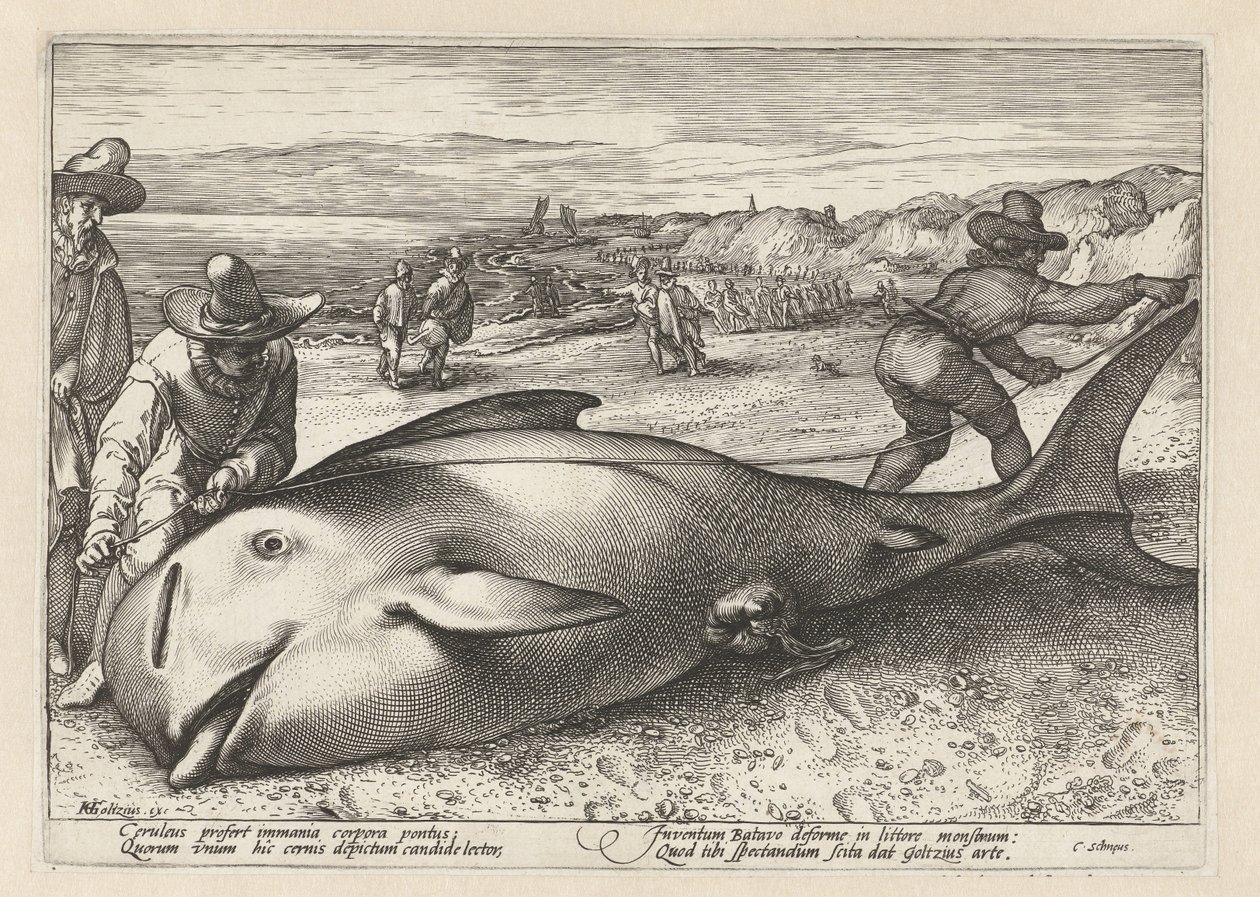 Dos hombres miden una ballena varada de Hendrick Goltzius (workshop of)