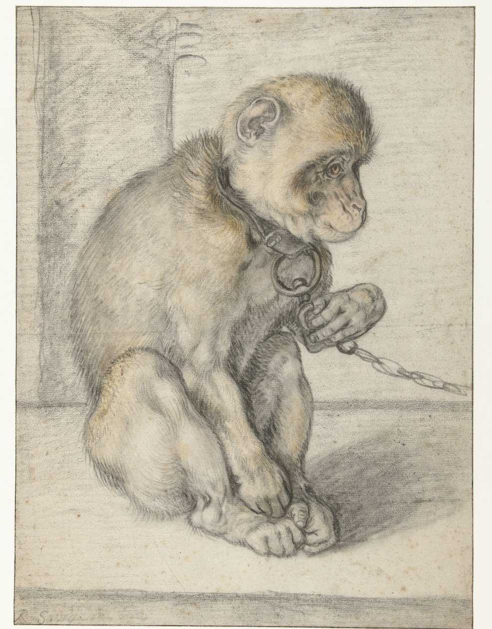 Un mono sentado en una cadena Mono encadenado, sentado de Hendrick Goltzius