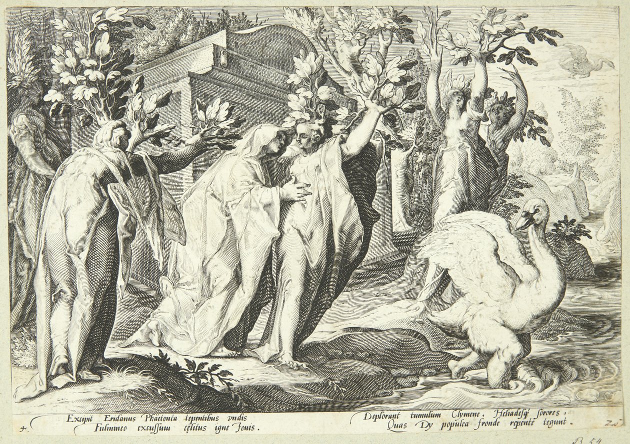 Las hermanas de Faetón se transforman en álamos y Cygnus en un cisne de Hendrick Goltzius