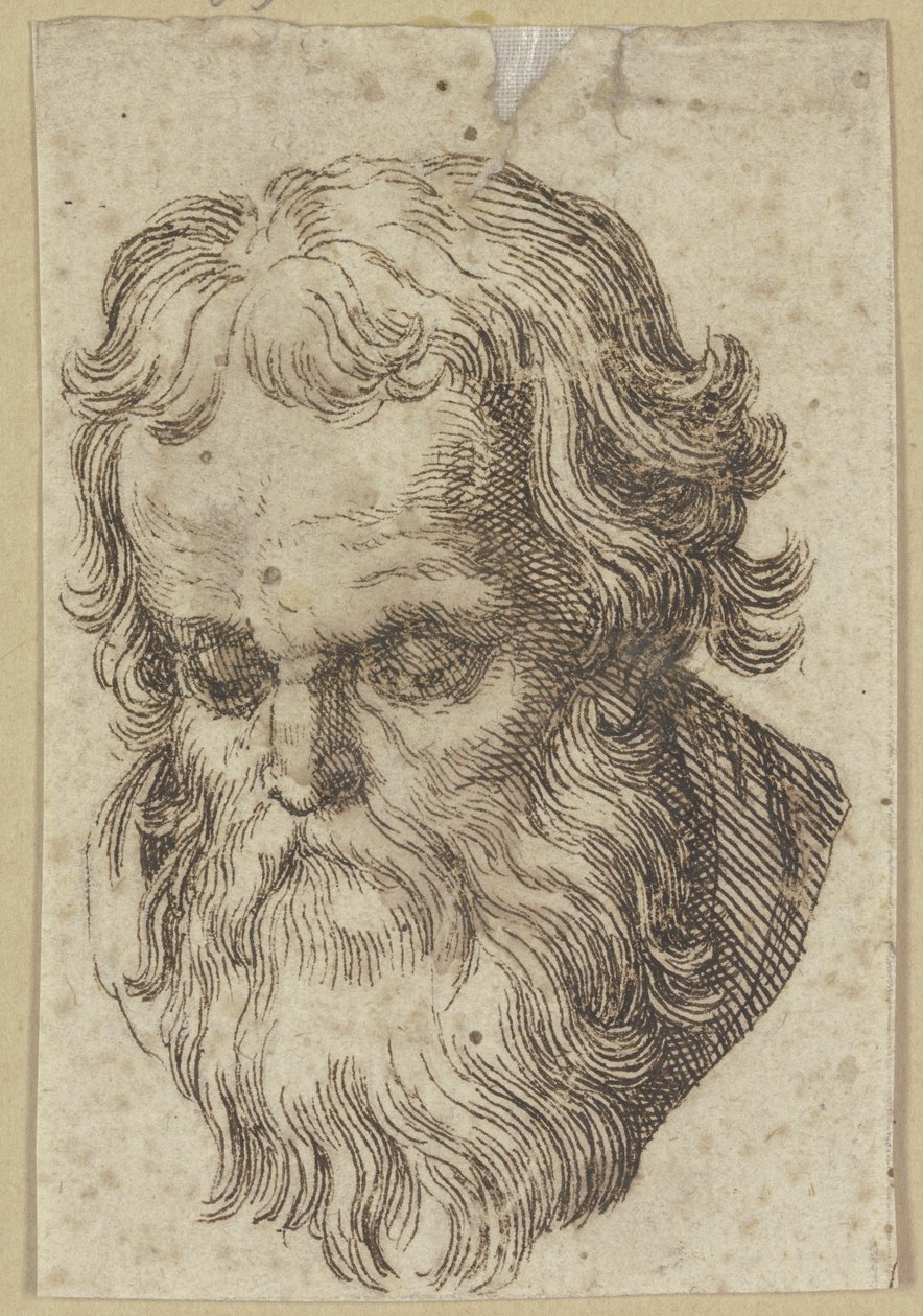 Cabeza de un hombre barbudo, inclinada hacia delante de Hendrick Goltzius