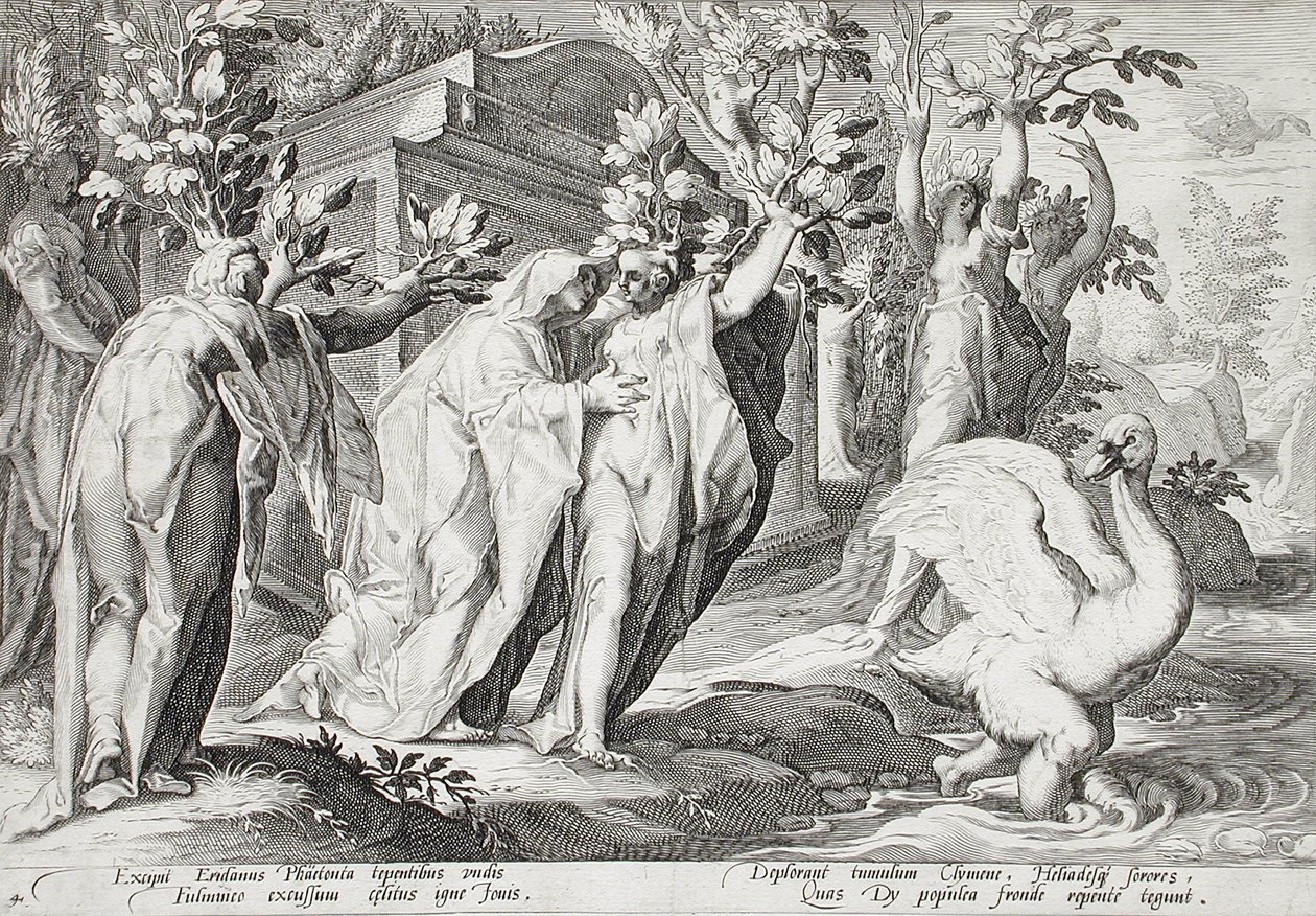 Las hermanas de Faetón transformadas en álamos, y Cicno en cisne de Hendrick Goltzius